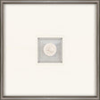 Paragon Fish Intaglio White 21 X 21 X 2 Wall Art