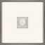 Paragon Fish Intaglio White 21 X 21 X 2 Wall Art