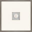 Paragon Seahorse Intaglio White 21 X 21 X 2 Wall Art