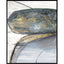 Paragon Teal Stones I Blue 50 X 40 X 3 Wall Art