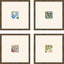 Paragon Botanica III S/4 Blue 16 X 16 X 1 Wall Art