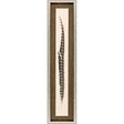 Paragon Lady Amhurst Feather Brown 41 X 09 X 2 Wall Art