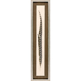 Paragon Lady Amhurst Feather Brown 41 X 09 X 2 Wall Art