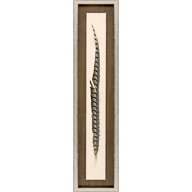 Paragon Lady Amhurst Feather Brown 41 X 09 X 2 Wall Art