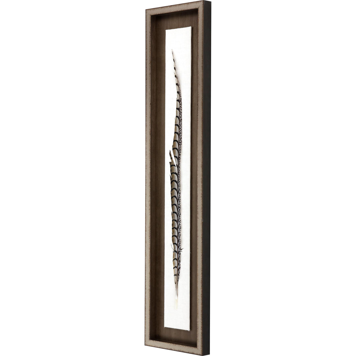 Paragon Lady Amhurst Feather Brown 41 X 09 X 2 Wall Art