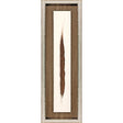Paragon Pheasant Feather Brown 29 X 09 X 2 Wall Art