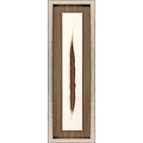 Paragon Pheasant Feather Brown 29 X 09 X 2 Wall Art