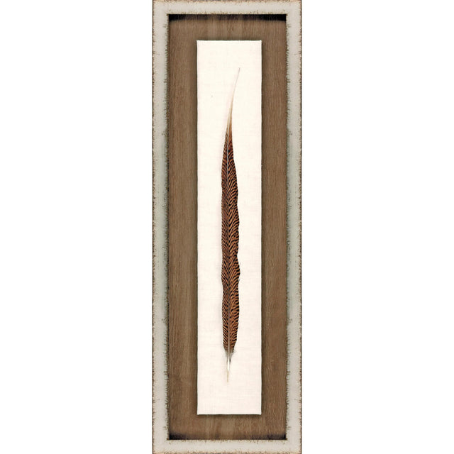 Paragon Pheasant Feather Brown 29 X 09 X 2 Wall Art