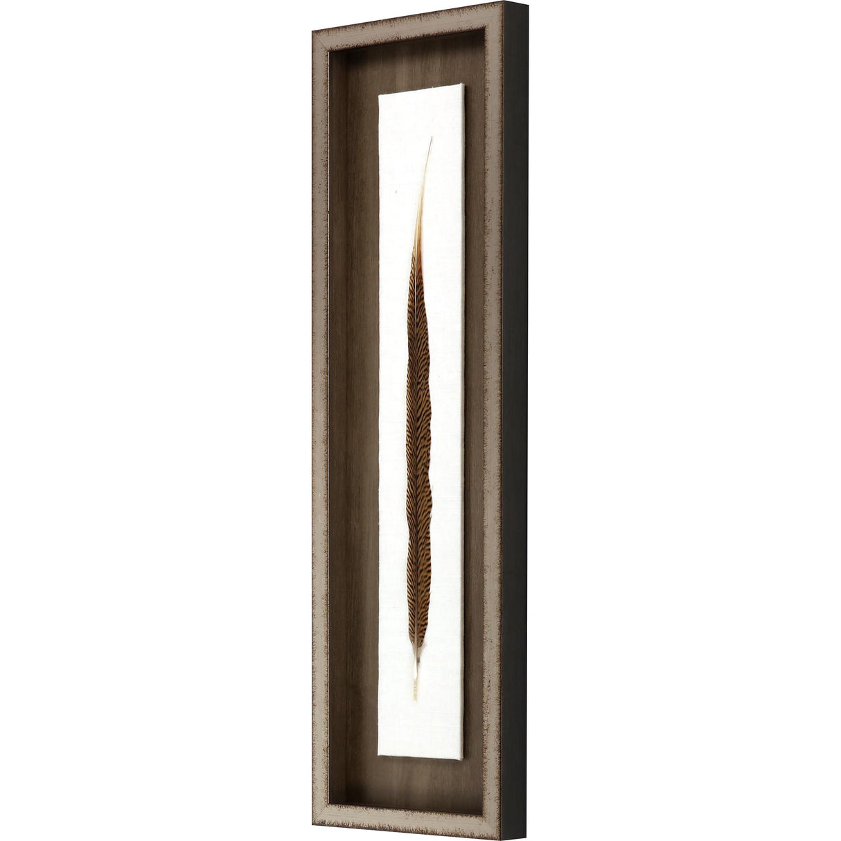 Paragon Pheasant Feather Brown 29 X 09 X 2 Wall Art