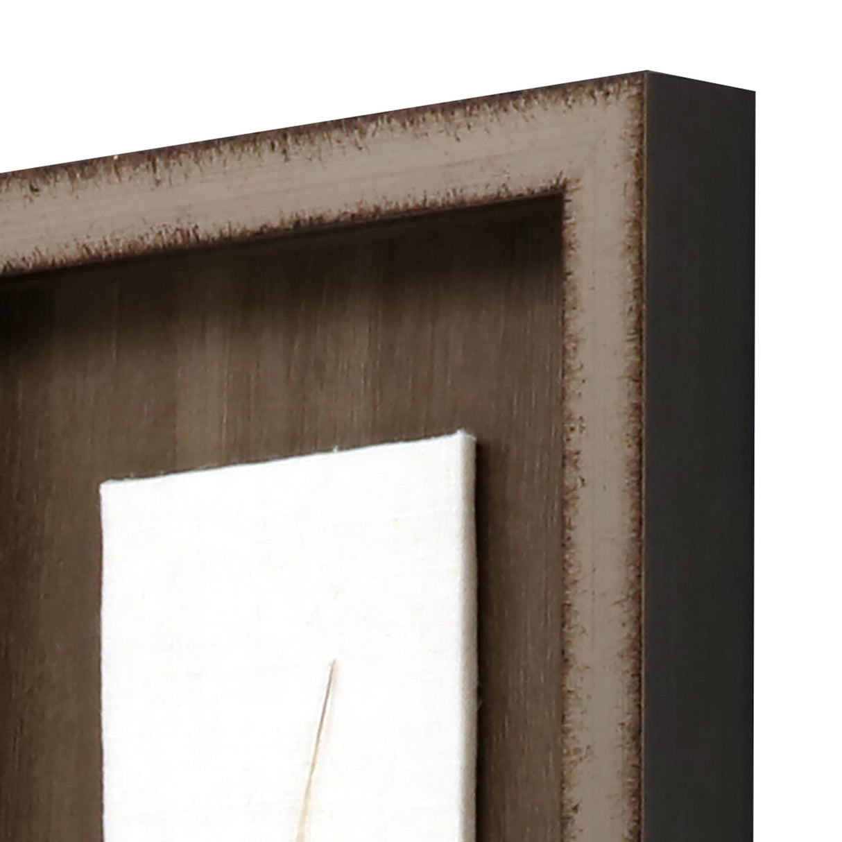 Paragon Pheasant Feather Brown 29 X 09 X 2 Wall Art