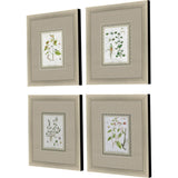 Paragon La Passerage II S/4 Green 21 X 19 X 2 Wall Art