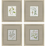 Paragon La Passerage II S/4 Green 21 X 19 X 2 Wall Art