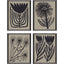 Paragon Simple Florals S/4 Black 26 X 20 X 1 Wall Art