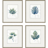 Paragon Plant Drawings S/4 Blue 17 X 15 X 1 Wall Art