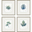 Paragon Plant Drawings S/4 Blue 17 X 15 X 1 Wall Art