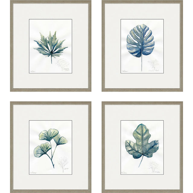 Paragon Plant Drawings S/4 Blue 17 X 15 X 1 Wall Art
