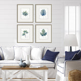 Paragon Plant Drawings S/4 Blue 17 X 15 X 1 Wall Art