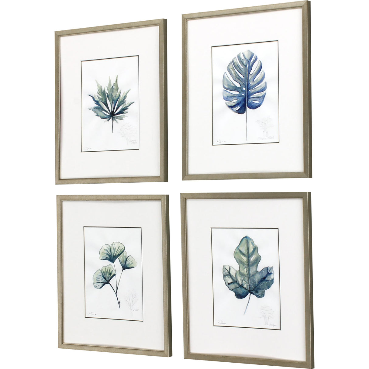 Paragon Plant Drawings S/4 Blue 17 X 15 X 1 Wall Art