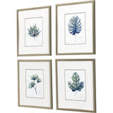 Paragon Plant Drawings S/4 Blue 17 X 15 X 1 Wall Art