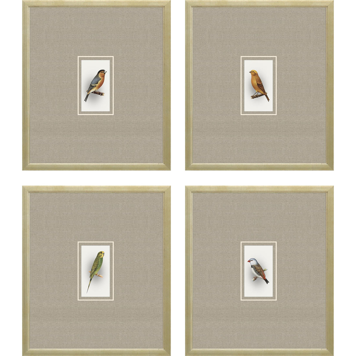 Paragon Here Birdie I S/4 Multi 14 X 12 X 1 Wall Art