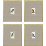 Paragon Here Birdie I S/4 Multi 14 X 12 X 1 Wall Art