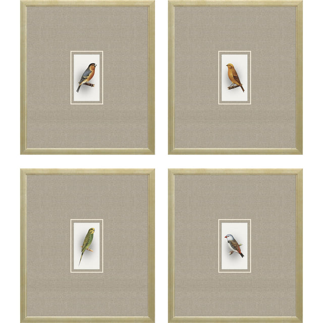 Paragon Here Birdie I S/4 Multi 14 X 12 X 1 Wall Art