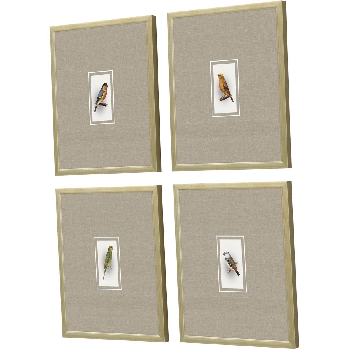 Paragon Here Birdie I S/4 Multi 14 X 12 X 1 Wall Art