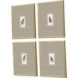 Paragon Here Birdie I S/4 Multi 14 X 12 X 1 Wall Art