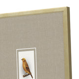 Paragon Here Birdie I S/4 Multi 14 X 12 X 1 Wall Art