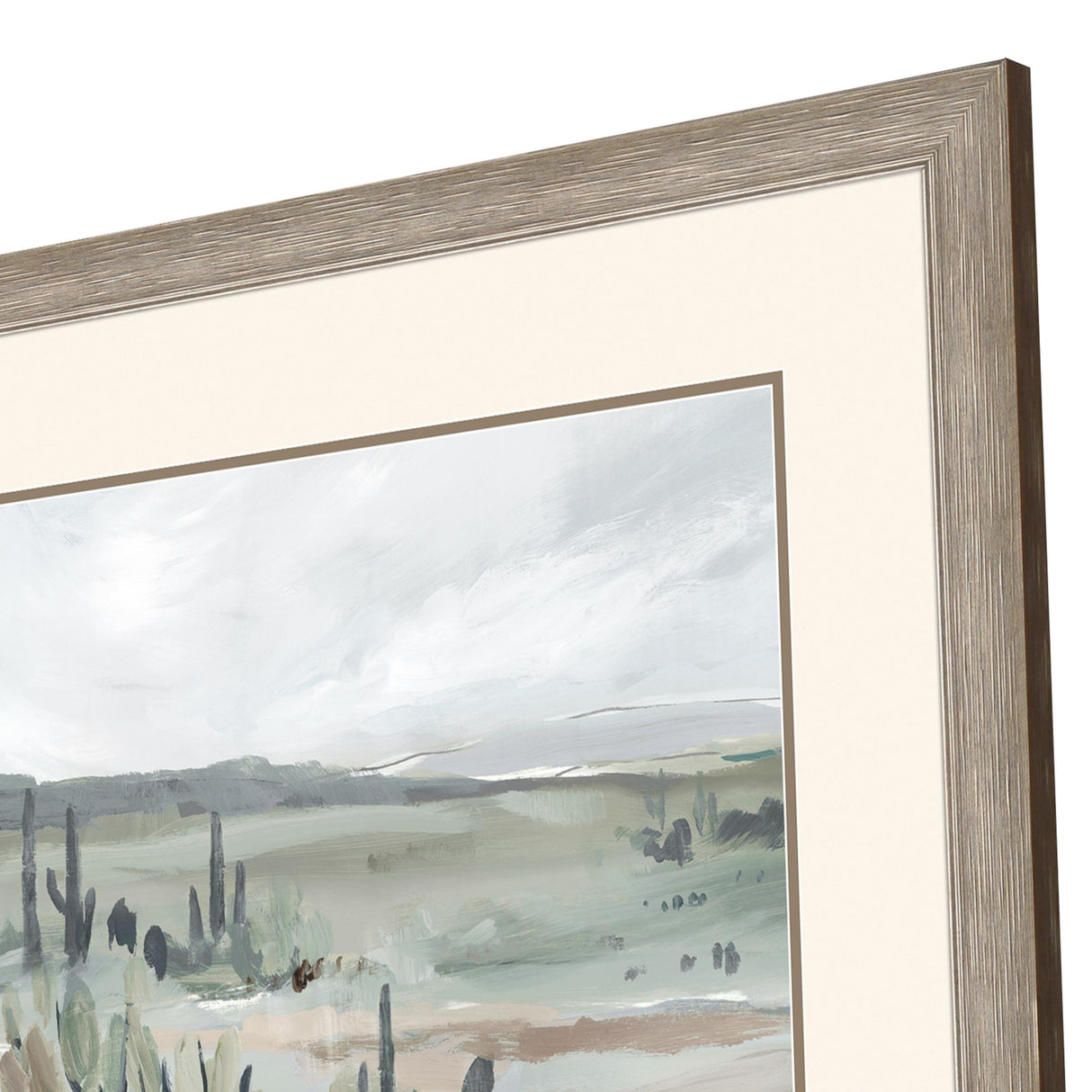 Paragon Blue Cactus Field I Gray 40 X 40 X 2 Wall Art