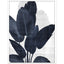 Paragon Azure Palm II Blue 50 X 38 X 3 Wall Art
