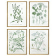 Paragon Assemblage S/4 Green 25 X 19 X 1 Wall Art