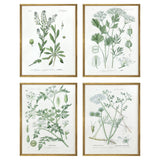 Paragon Assemblage S/4 Green 25 X 19 X 1 Wall Art