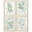 Paragon Assemblage S/4 Green 25 X 19 X 1 Wall Art