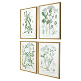 Paragon Assemblage S/4 Green 25 X 19 X 1 Wall Art