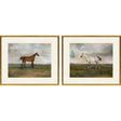 Paragon Equestrian I S/2 Multi 23 X 27 X 1 Wall Art