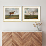 Paragon Equestrian I S/2 Multi 23 X 27 X 1 Wall Art