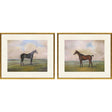 Paragon Equestrian II S/2 Multi 23 X 27 X 1 Wall Art