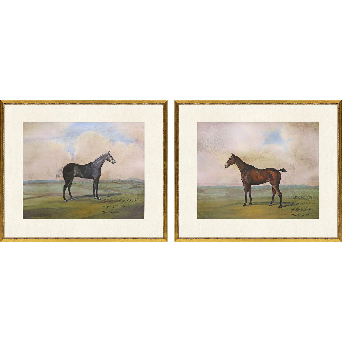 Paragon Equestrian II S/2 Multi 23 X 27 X 1 Wall Art