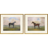 Paragon Equestrian II S/2 Multi 23 X 27 X 1 Wall Art