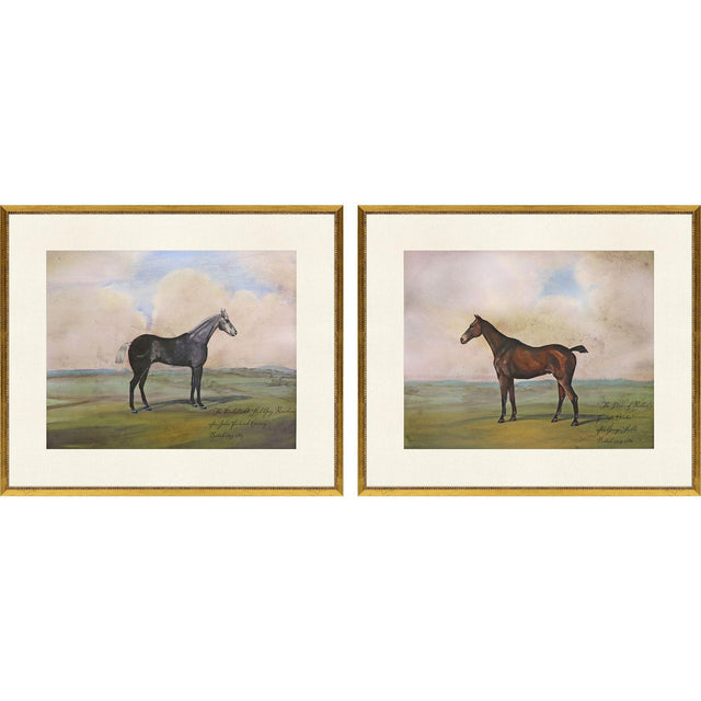 Paragon Equestrian II S/2 Multi 23 X 27 X 1 Wall Art
