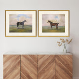 Paragon Equestrian II S/2 Multi 23 X 27 X 1 Wall Art