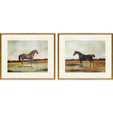 Paragon Equestrian III S/2 Multi 23 X 27 X 1 Wall Art