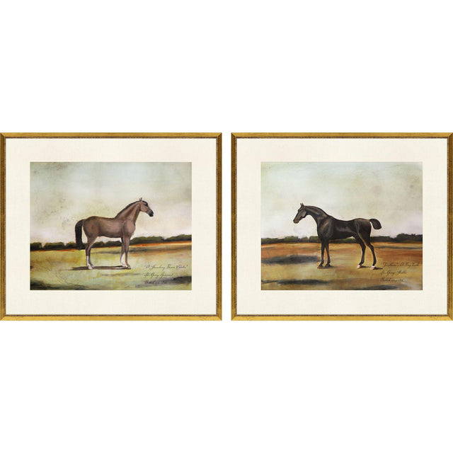Paragon Equestrian III S/2 Multi 23 X 27 X 1 Wall Art
