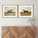 Paragon Equestrian III S/2 Multi 23 X 27 X 1 Wall Art