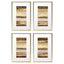 Paragon Midas S/4 Brown 23 X 15 X 1 Wall Art