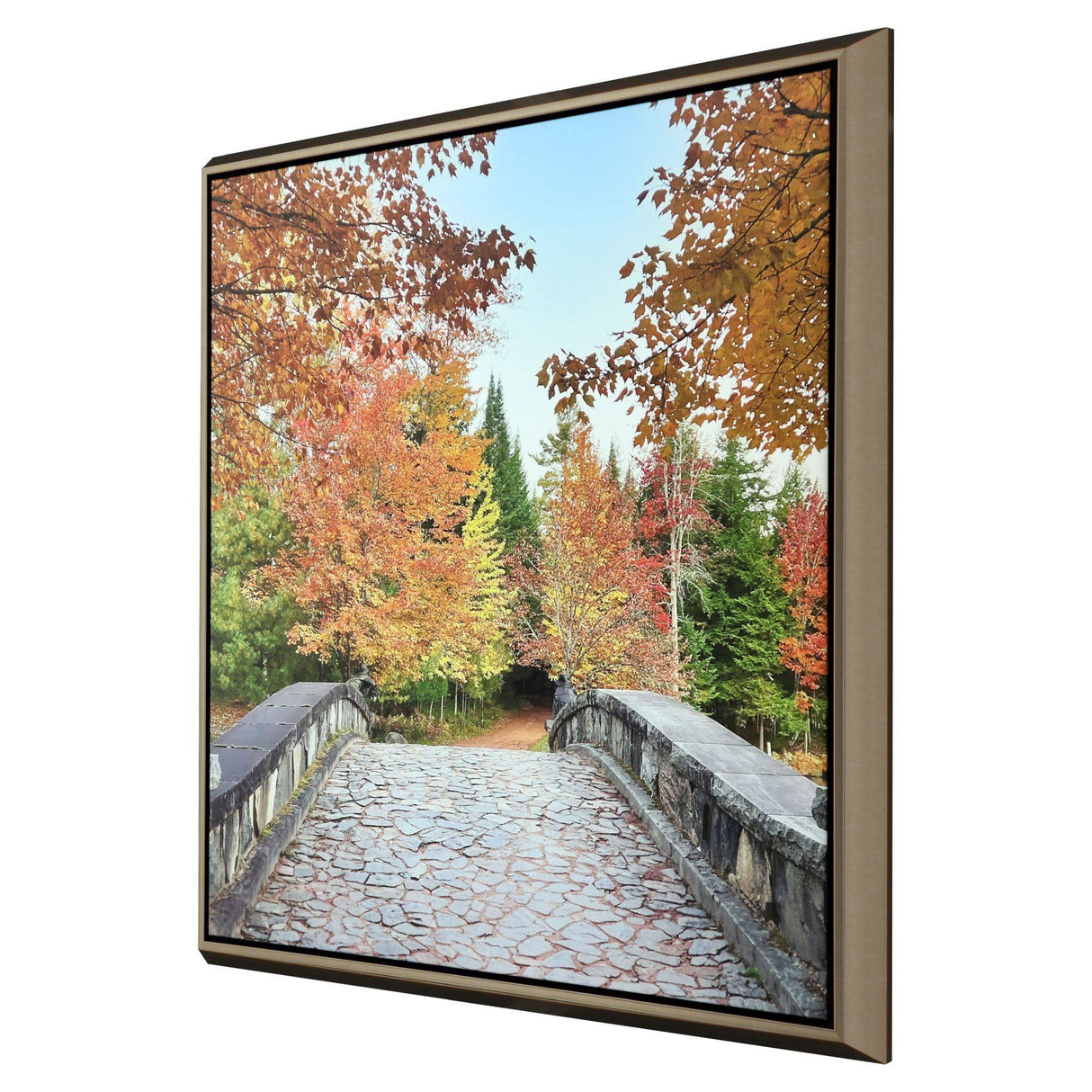 Paragon Afternoon Stroll Orange 51 X 51 X 3 Wall Art
