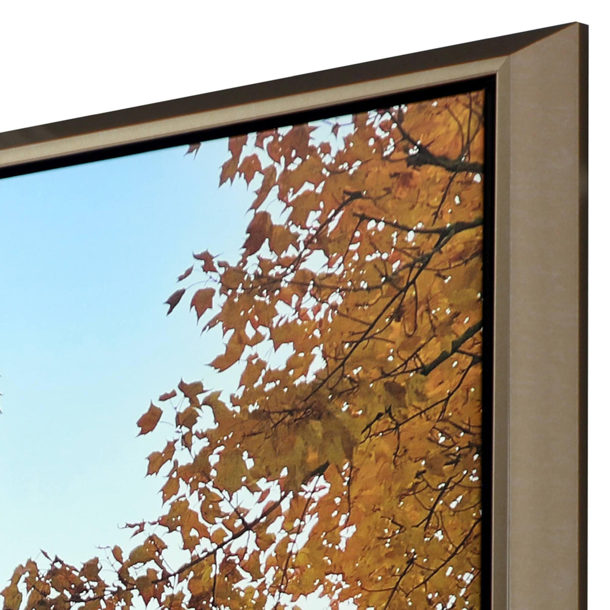 Paragon Afternoon Stroll Orange 51 X 51 X 3 Wall Art