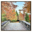 Paragon Afternoon Stroll Orange 51 X 51 X 3 Wall Art