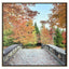 Paragon Afternoon Stroll Orange 51 X 51 X 3 Wall Art